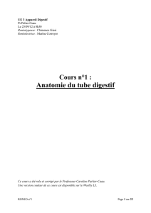 Anatomie du tube digestif - Cours L3 Bichat 2012-2013