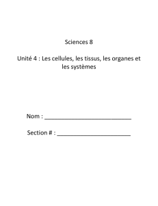 Sciences 8 Unité 4 : Les cellules, les tissus, les organes et les