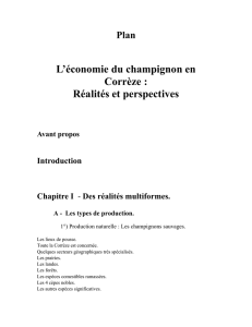 L`économie du champignon en Corrèze : Réalités et perspectives