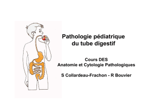 Pathologies pediatriques digestives