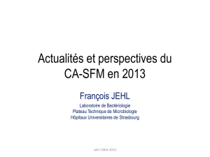Actualités et perspectives du CA-SFM en 2013