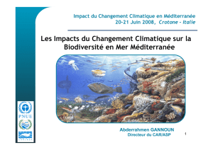 Les Impacts du Changement Climatique sur la Biodiversité en Mer