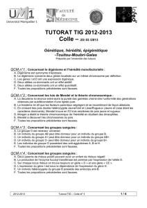 tutorat tig 2012-2013