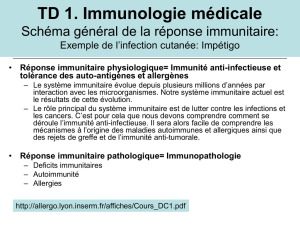 TD 1. Immunologie médicale Schéma général de la réponse