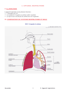 Secondes 3- A ppareil respiratoire 1 L` A PP A REI L