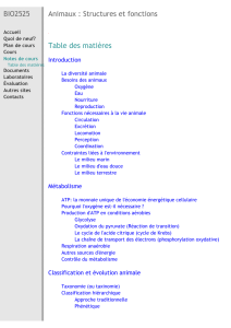 IO2525 Animaux : Structures et fonctions Table des matières