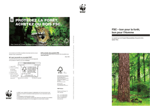 FSC – bon pour la forêt, bon pour l`Homme