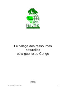 Le pillage des ressources naturelles et la guerre au Congo