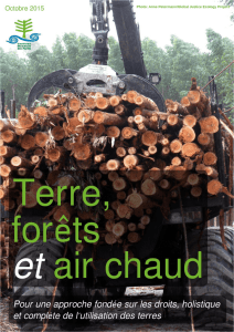 un nouveau document - Global Forest Coalition