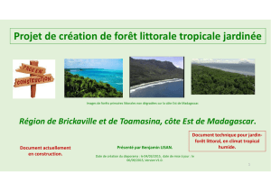 Projet de forêt littorale jardinée - Documents pour le développement