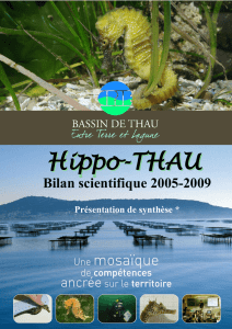 Hippo-THAU