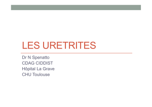 Les Uretrites - Dr N Spenatto