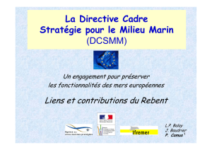 La Directive Cadre Stratégie pour le Milieu Marin (DCSMM)