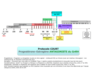 Protocole COURT Progestérone–Estrogène ANTAGONISTE du GnRH