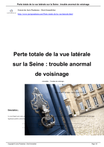 Perte totale de la vue latérale sur la Seine : trouble