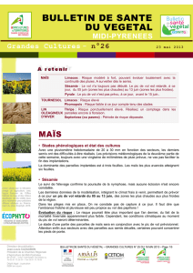 n° 26 - Chambre régionale d`agriculture Midi