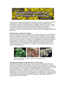 Voyage pancanadien à la découverte des lichens