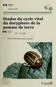 Stades du cycle vital du doryphore de la pomme de terre, A43-1878