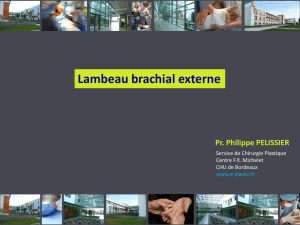 Lambeau brachial externe - e