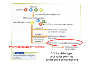 7 3.3. Relations Génotype - Phénotype. Action de l`environnement