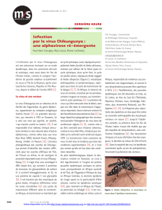 Infection par le virus Chikungunya : une alphavirose - iPubli