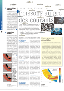 Sciences au Sud n°9 - Upwelling ( PDF , 256 Ko)