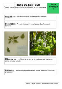 accéder à la fiche botanique n°5 - ien Saint-Leu