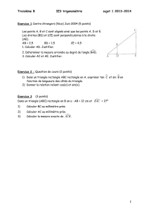 Troisième B IE3 trigonométrie sujet 1 2013