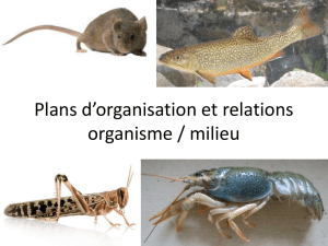 Plans d`organisation et relations organisme / milieu - bcpst-svt-parc