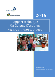 mgcb 2016-rapport technique