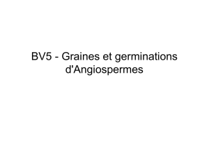 BV5 - Graines et germinations d`Angiospermes