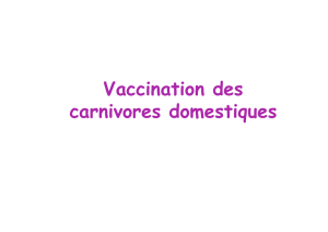 Vaccin - Roneo`07