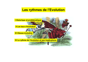 Les rythmes de l`Evolution