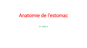 Anatomie de l`estomac - facmed-univ-oran