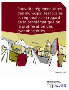 Pouvoirs réglementaires des municipalités locales et régionales en