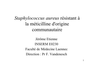Staphylococcus aureus résistant à la méticilline d