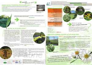 Plantes Env Picardie v3.indd
