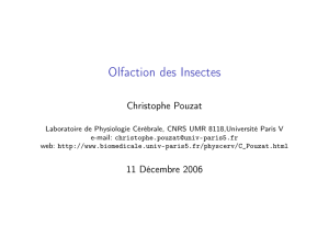 Olfaction des Insectes - Christophe Pouzat