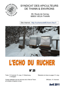 Echo N°25 d`avril 2011 - Rucher Ecole Enchenberg