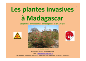 Les plantes invasives à Madagascar
