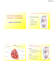 adaptations cardioV a lexercice et a lentrainement File