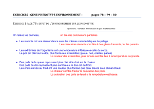 EXERCICES : GENE PHENOTYPE ENVIRONNEMENT : pages 78