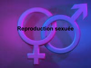La reproduction - 9 La reproduction sexuée