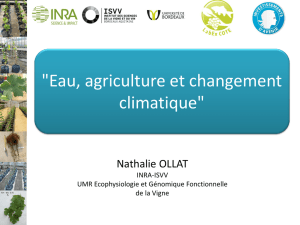 Eau, agriculture et changement climatique