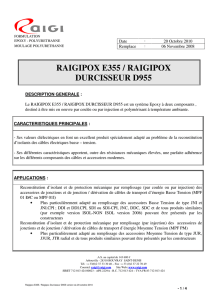 RAIGIPOX E355 / RAIGIPOX DURCISSEUR D955