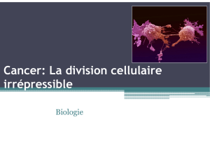 Cancer: La division cellulaire irrépressible