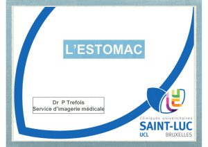 DES Estomac - UCL Imaging