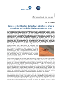 Dengue : identification de facteurs génétiques chez le moustique qui