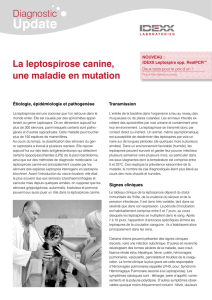La leptospirose canine,une maladie en mutation
