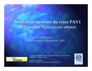 Analyse du génome du virus PAV1 de l `archée Pyrococcus abyssi